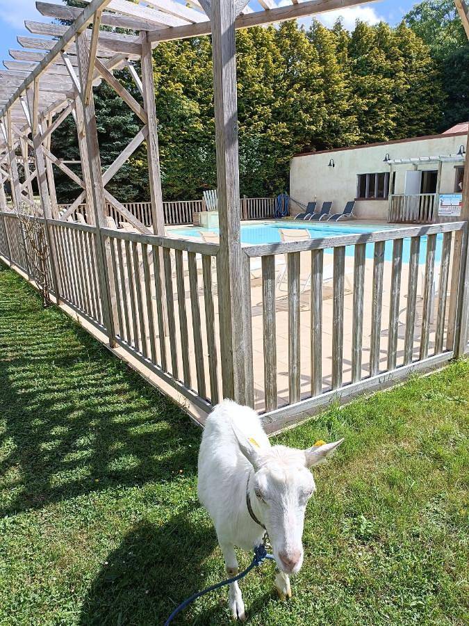 Camping pour 2 personnes, avec Jacuzzi et Terrasse ainsi que Jardin et Piscine