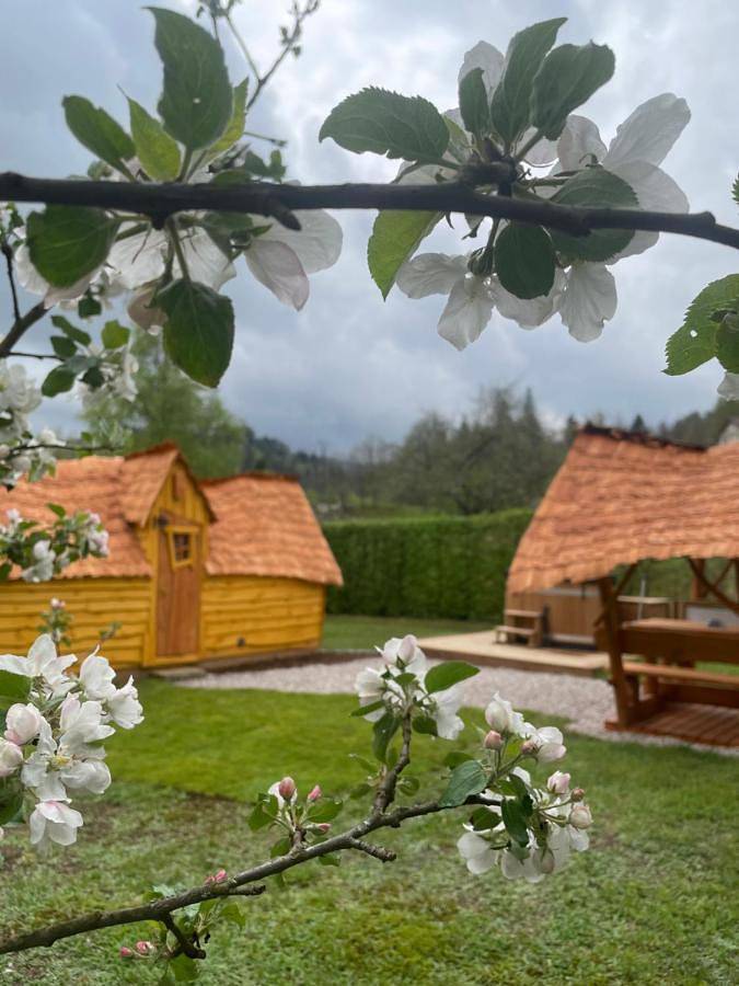 Cabane Insolite Cosy in Ramonchamp, Région d'Épinal