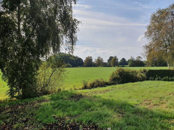 Ferienwohnung für 4 Personen, mit Terrasse und Garten in Ostrhauderfehn - 3