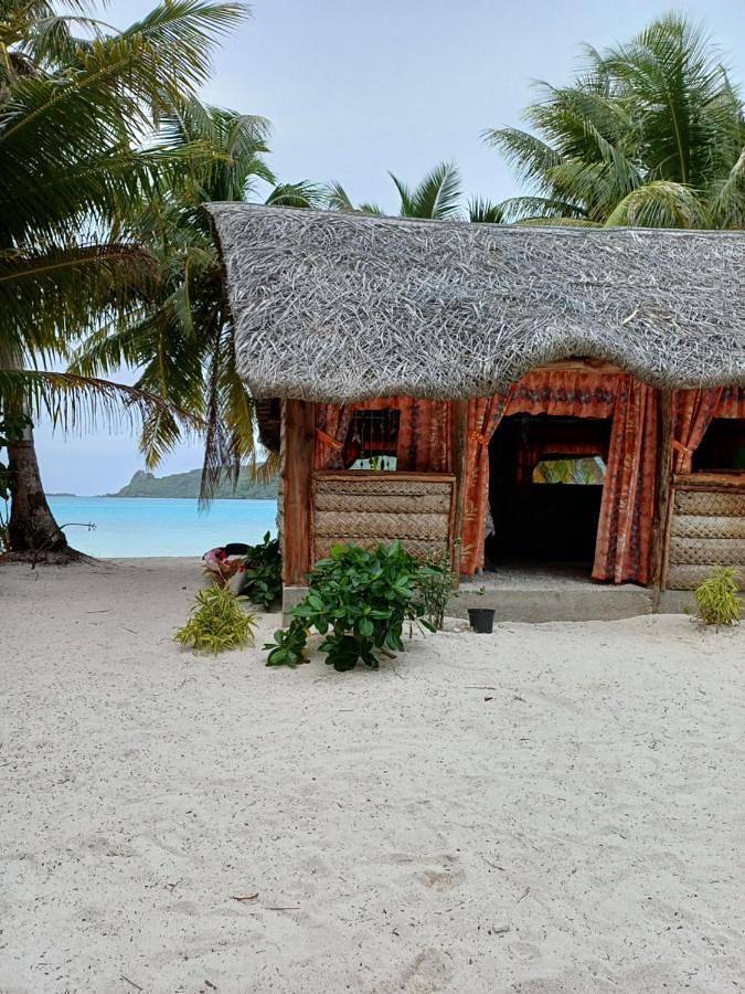 Camping pour 4 personnes, avec jardin ainsi que terrasse et vue - 1