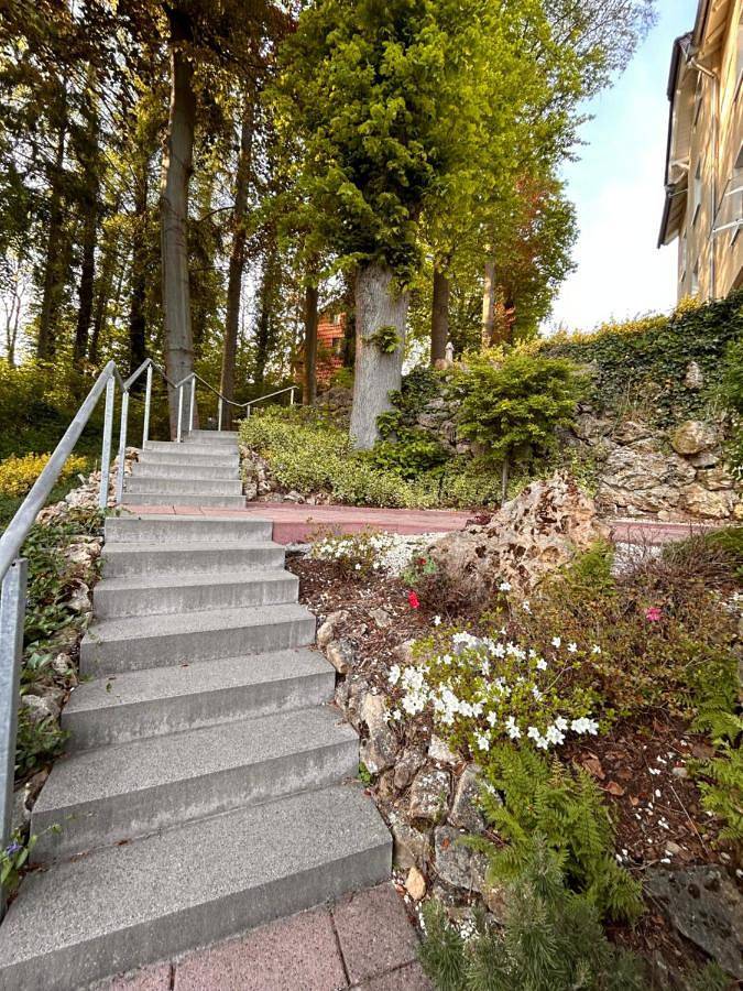 Ferienwohnung für 8 Personen, mit Terrasse und Garten sowie Ausblick in Georgenthal - 3