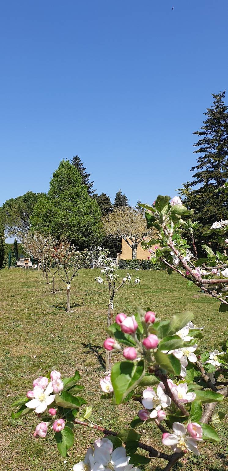 Chambre d’hôtes climatisée « Lavande », en rez de jardin avec vue montagne. in Charols, Région de nyons