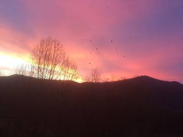 Bed And Breakfast for 6 Guests in Blue Ridge Mountains, Chattahoochee National Forest, Picture 4