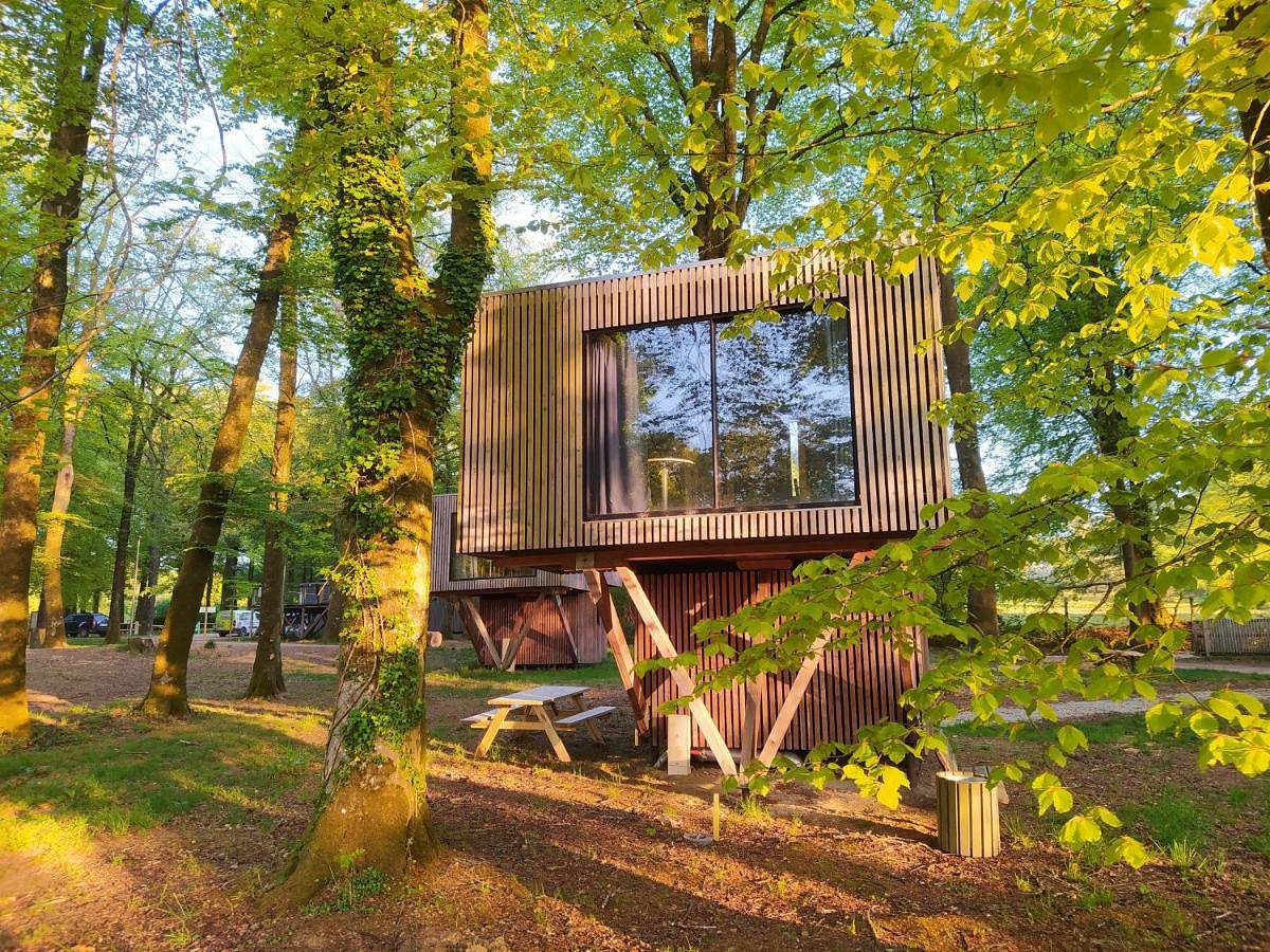 L'étape en forêt in Saint-Sever-Calvados, Noues de Sienne