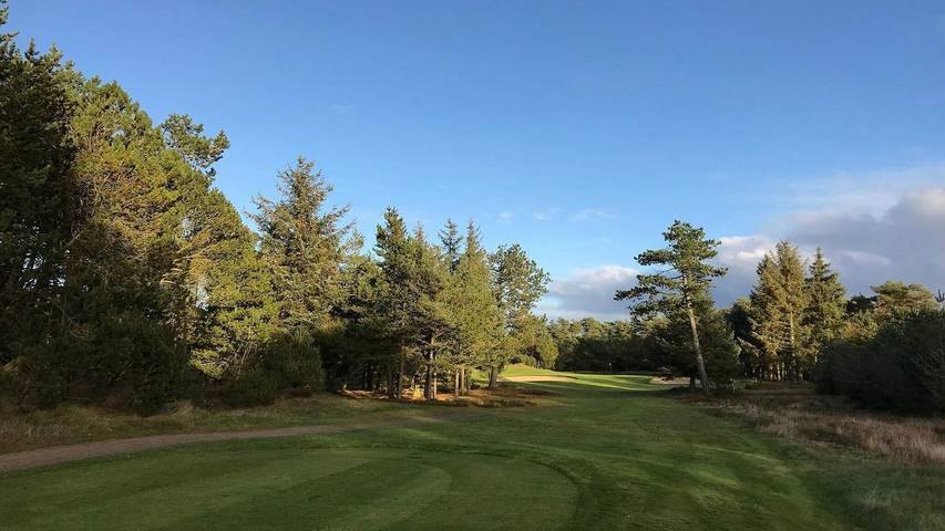 Ferienhaus für 3 Personen, mit Terrasse in Blavand - 4