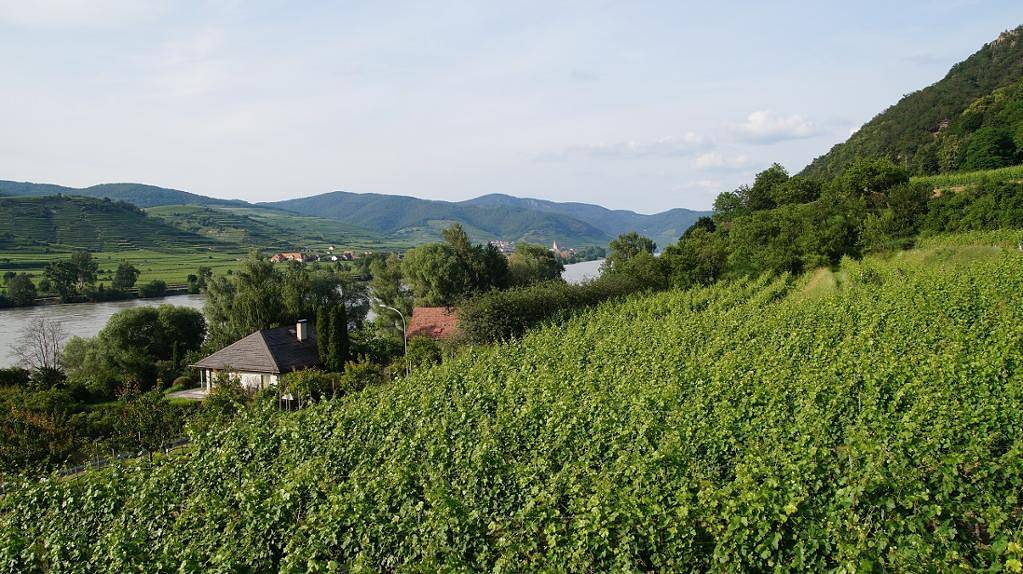 Appartement de vacances entier, Weinbau und Gästezimmer Pammer - Appartement (52qm) für 4 Personen mit Balkon in Rossatz-Arnsdorf, Danube Basse-Autriche
