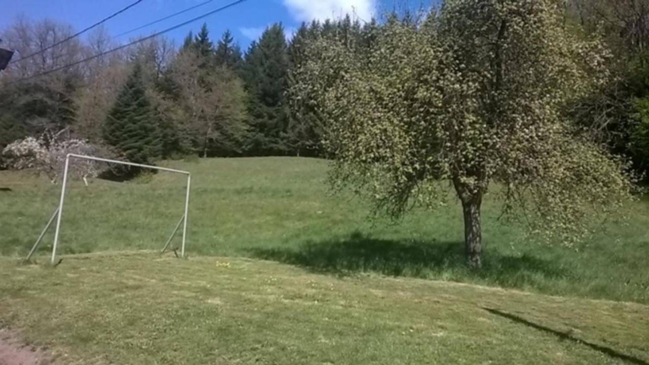 Two-Bedroom Chalet in Vecoux, Région d'Épinal