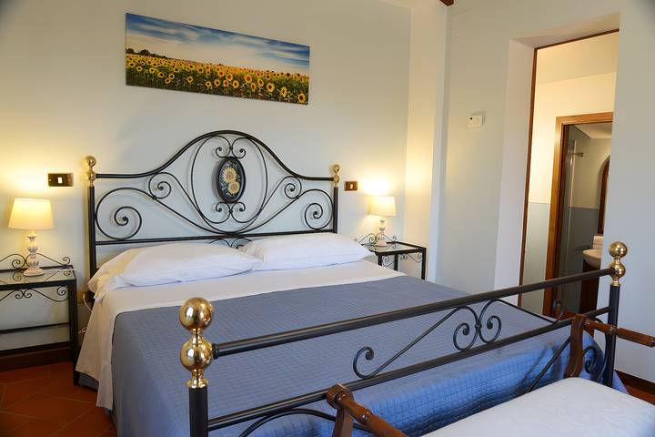Room 'I Girasoli - Podere Del Griccia' with Shared Pool, Wi-Fi and Air Conditioning in Civitella in Val di Chiana, Chianti