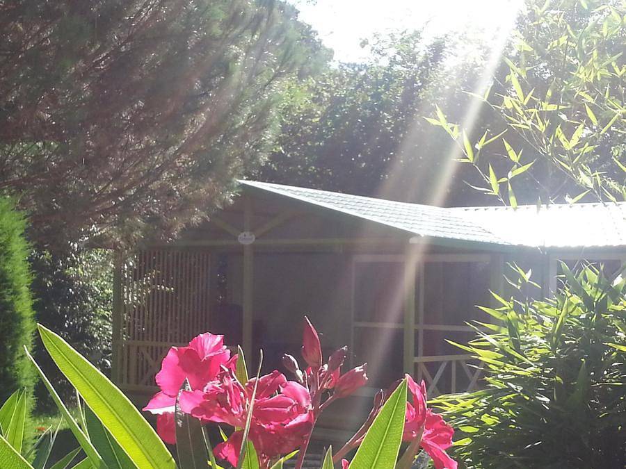 Camping Les Sources  - Chalet 2 personas - Gitotel 1 habitación in Saint-Jean-du-Gard, Cevenas