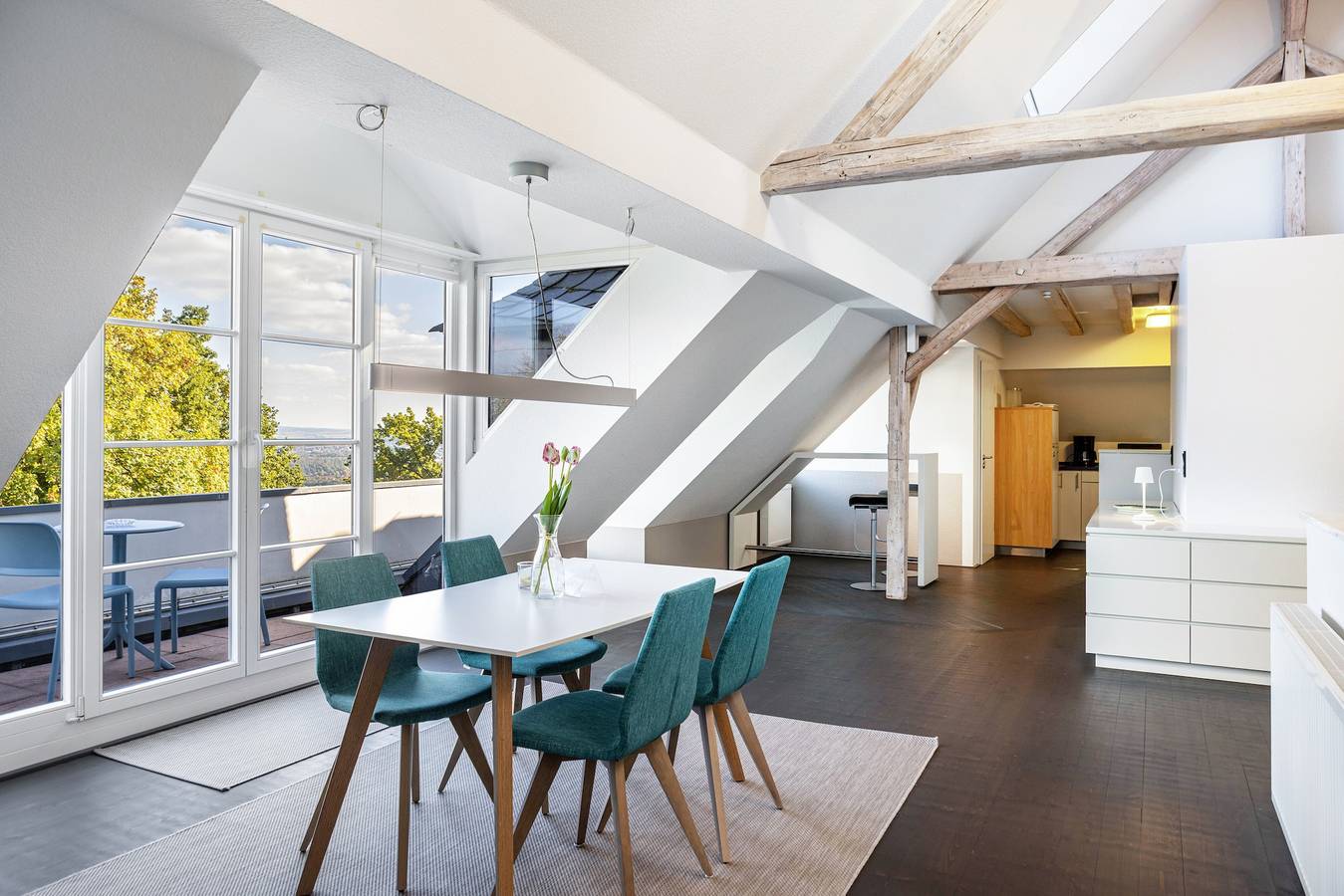Ganze Wohnung, Panorama penthouse in wunderschöner villa in Brasselsberg, Kassel