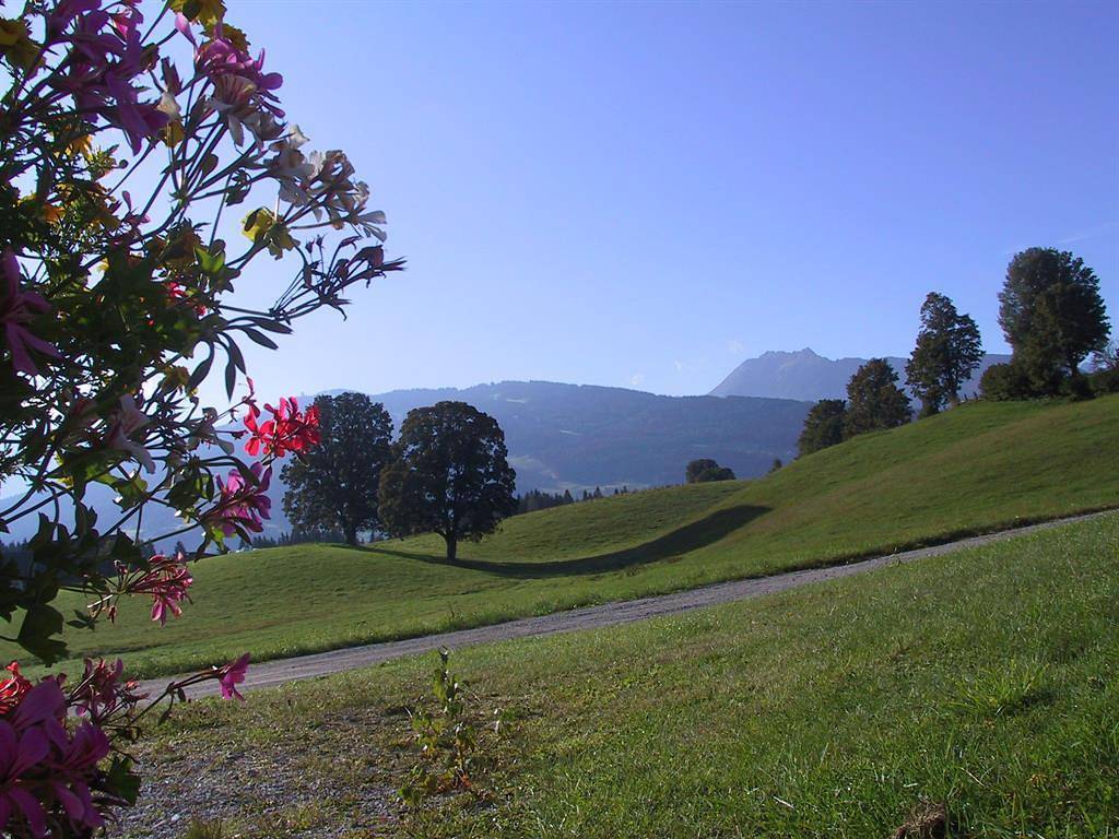 Ganze Ferienwohnung, Apartment/2 Schlafräume/Dusche, Wc in Ramsau am Dachstein, Schladming-Dachstein