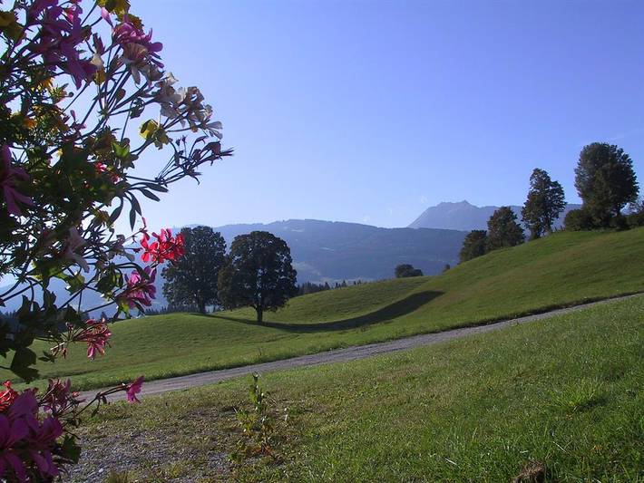 Ganze Ferienwohnung, Apartment/2 Schlafräume/Dusche, Wc in Ramsau am Dachstein, Schladming-Dachstein