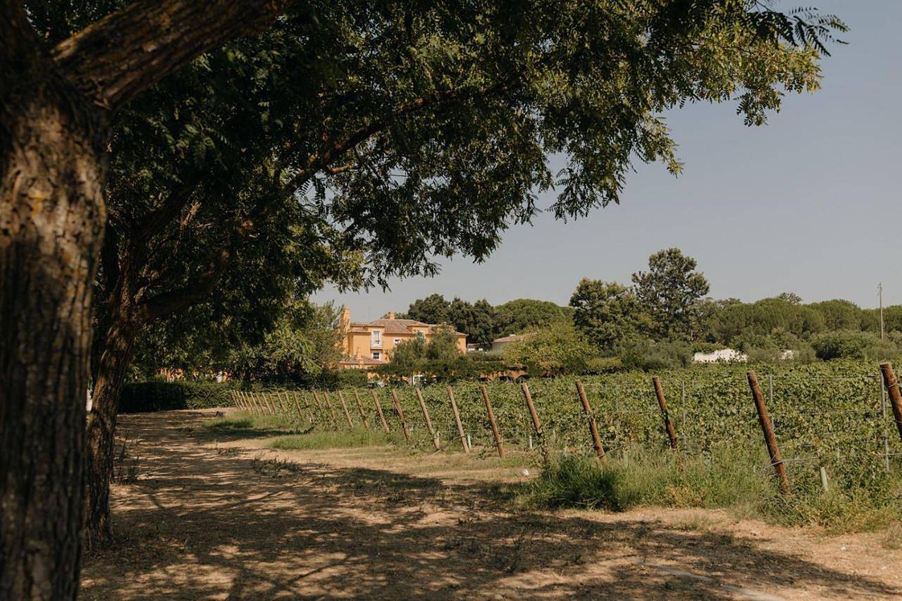 Quinta De Catralvos in Setúbal, Parque Natural da Arrábida