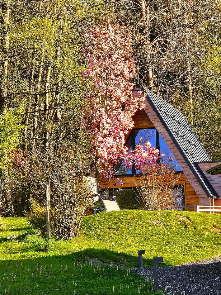 Gîte pour 6 personnes, avec vue et jardin à Villach - 2