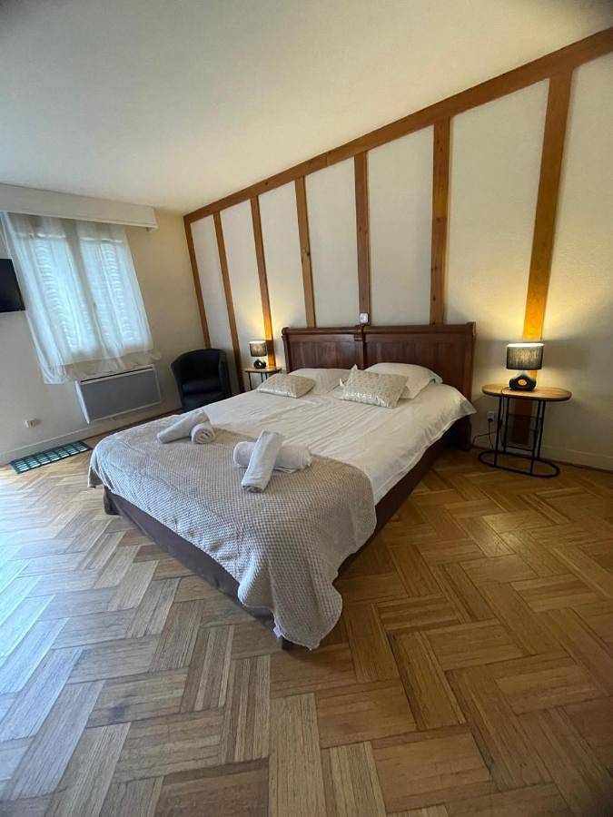 Hôtel pour 3 personnes, avec terrasse et jardin, animaux acceptés à Brinon-sur-Sauldre - 2