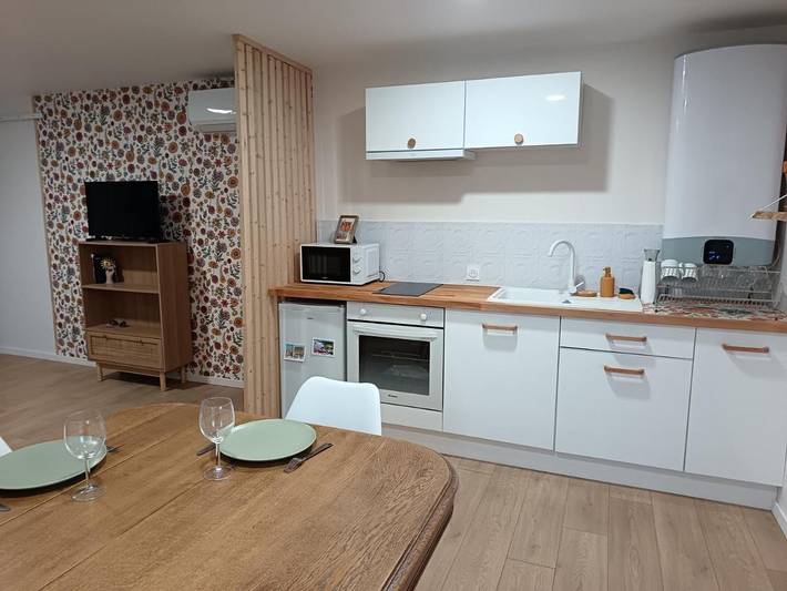 Gîte pour 2 personnes, avec Terrasse à Villerest - 4