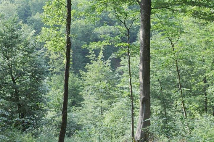 Location de vacances pour 3 personnes, avec jardin à Futeau - 4