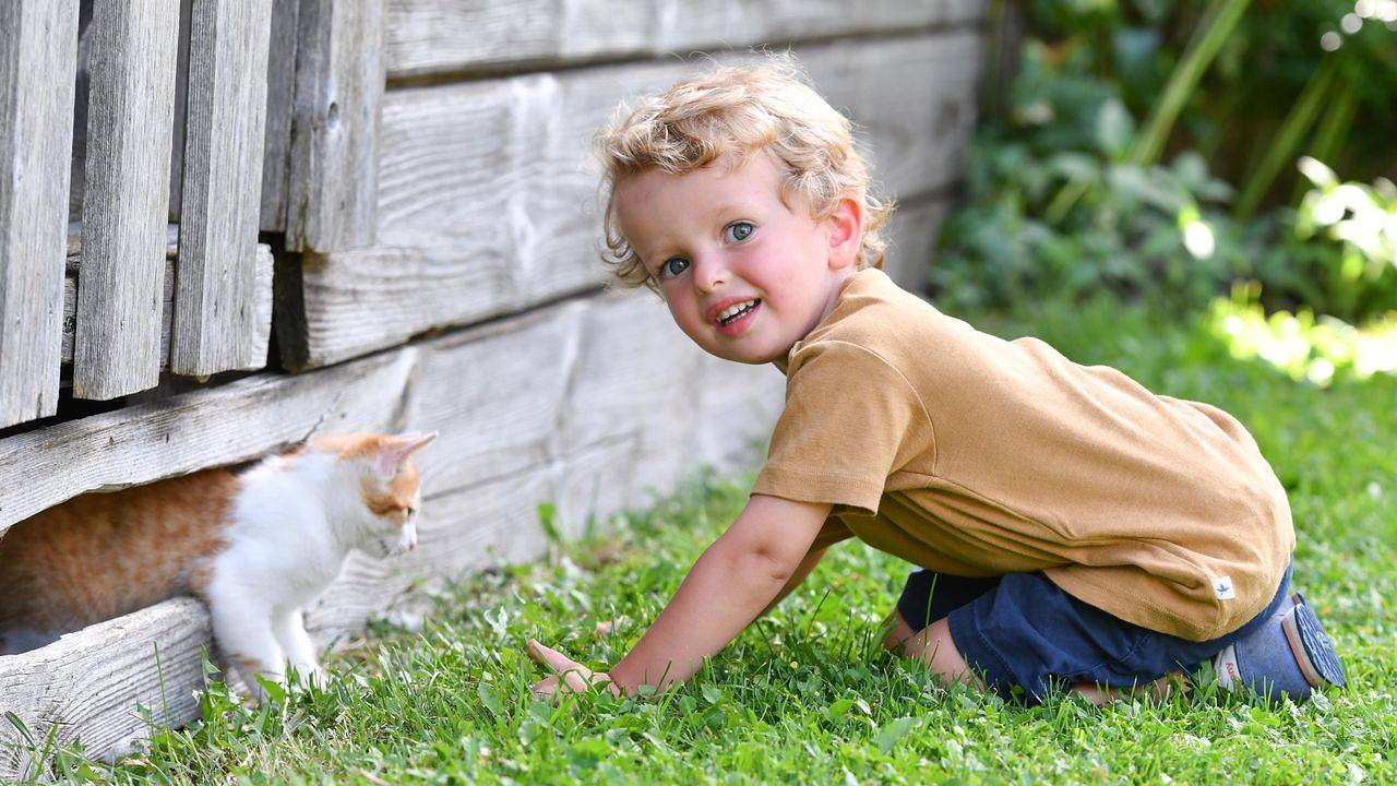 Appartement de vacances entier, Ferienwohnung für 5 Personen (80 m²) in Schladming in Schladming, Schladming-Dachstein