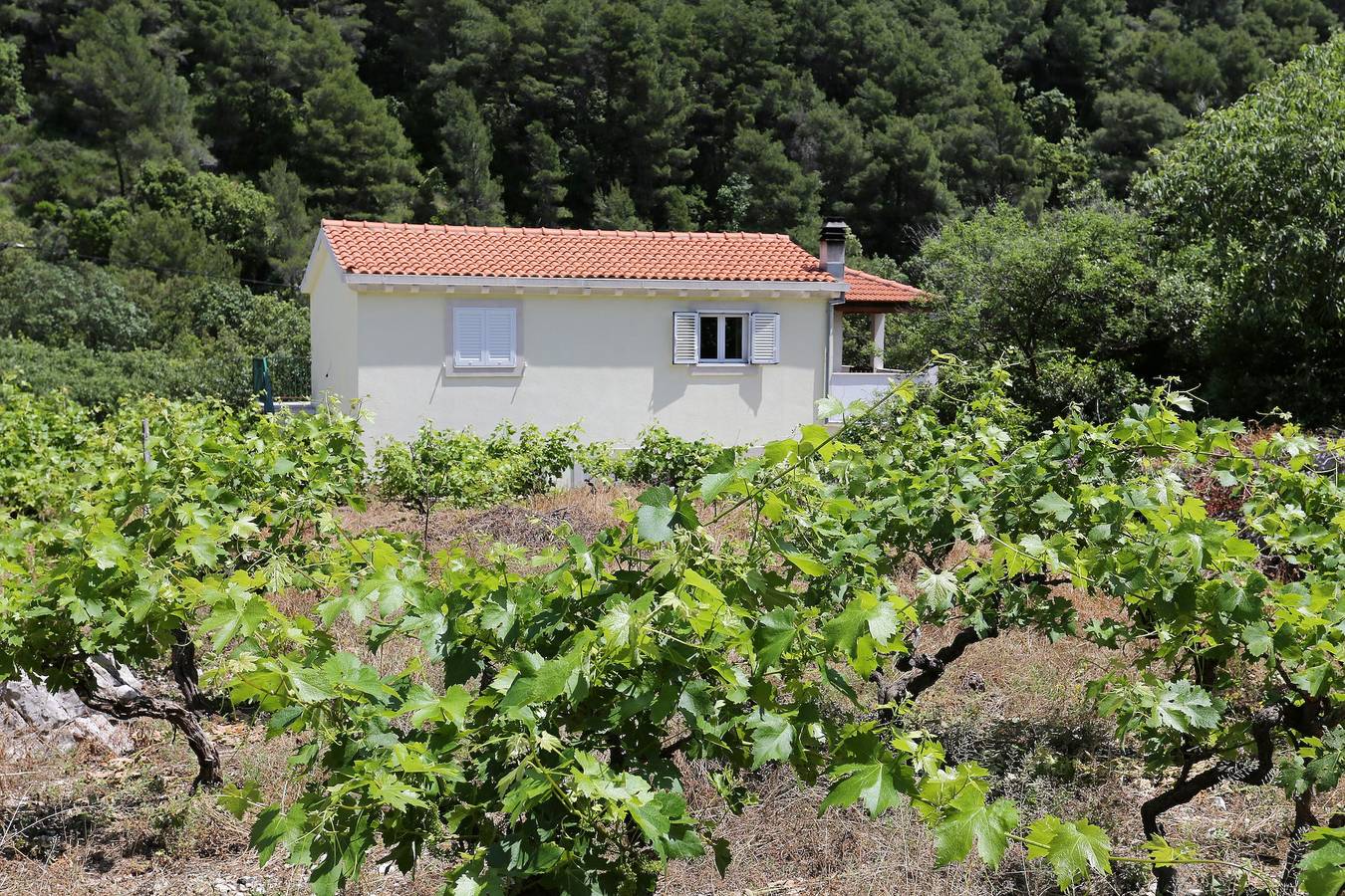 Ganze Wohnung, Apartments with parking space Trstenik, Pelješac - 10109 in Trstenik, Peljesac