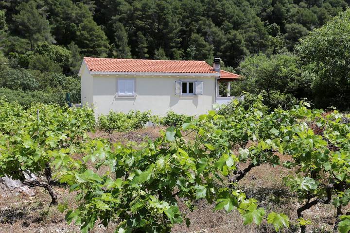 Ferienwohnung für 4 Personen, mit Balkon/Terrasse, mit Haustier - 1