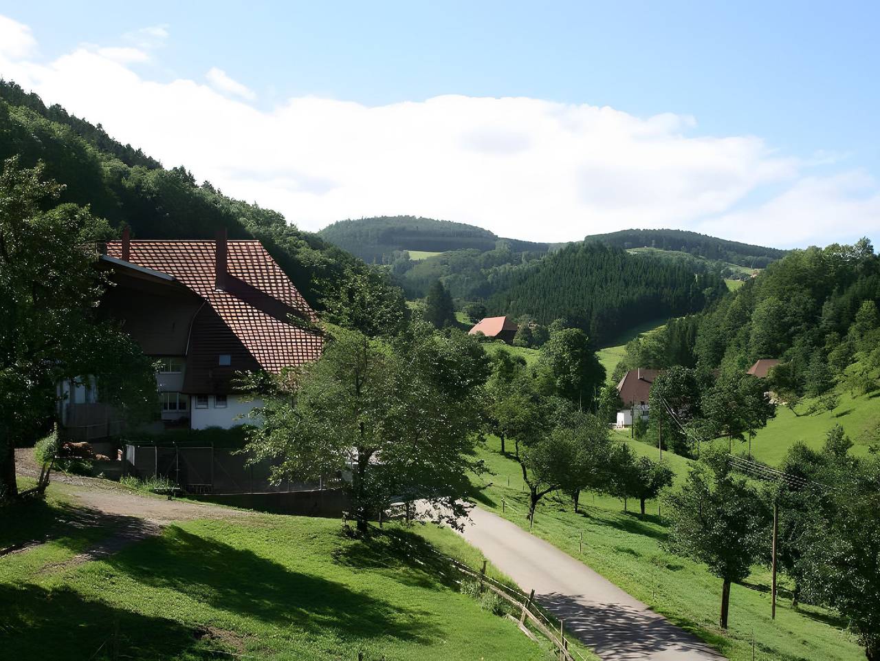 Ganze Ferienwohnung, Geigerseppleshof in Mühlenbach, Mittlerer Schwarzwald