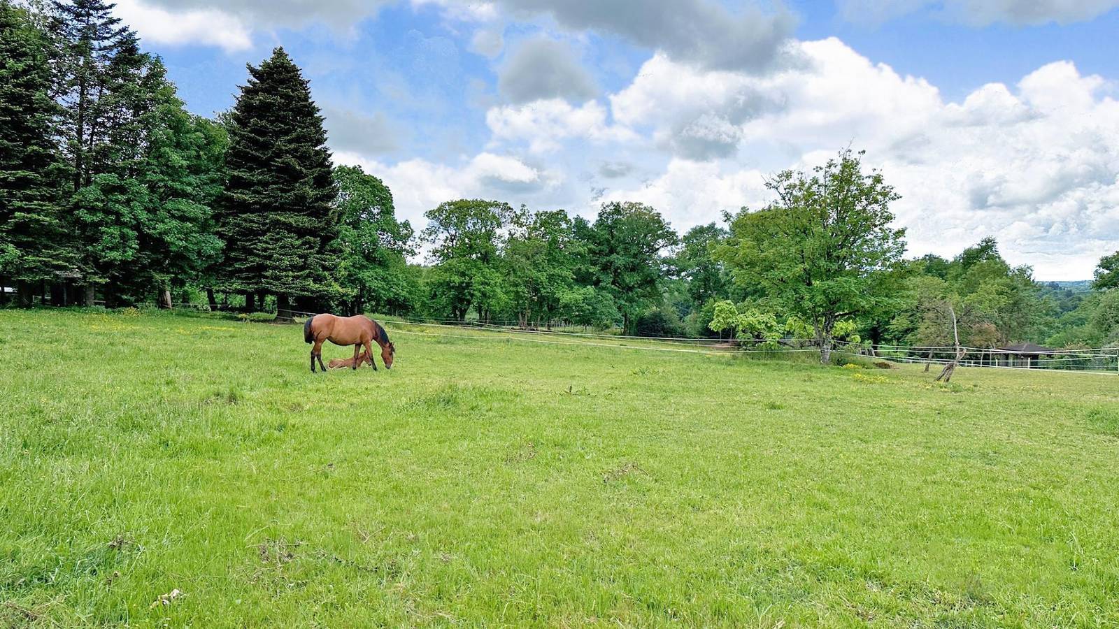 Les Bonnes Fontaines in Cieux, Bellac und Umgebung