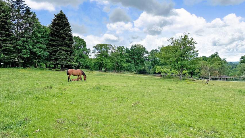 Les Bonnes Fontaines in Cieux, Bellac und Umgebung