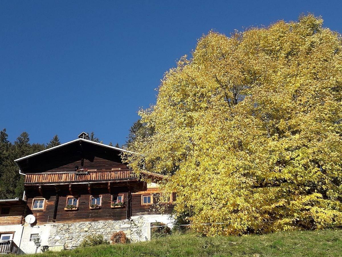 Grasreithütte in Großarl, Ski Amadé
