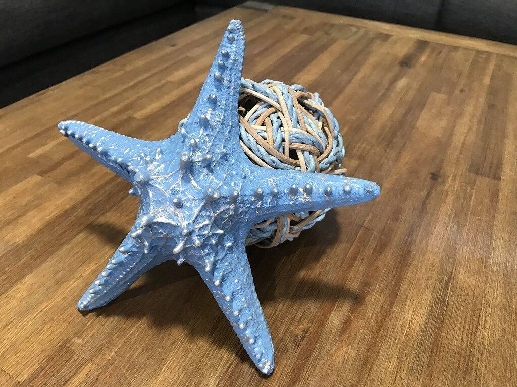 Seaside Family Memories - 5 Bedrooms 2 Kitchens in Port Macquarie, New South Wales