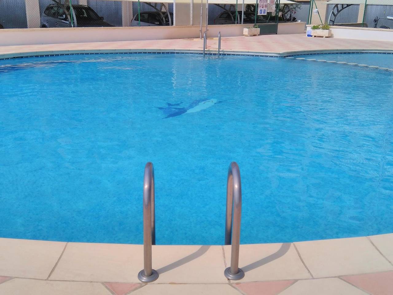 Entire holiday apartment, Alpen1 La Volta /2 bedrooms in Peñiscola, Costa del Azahar