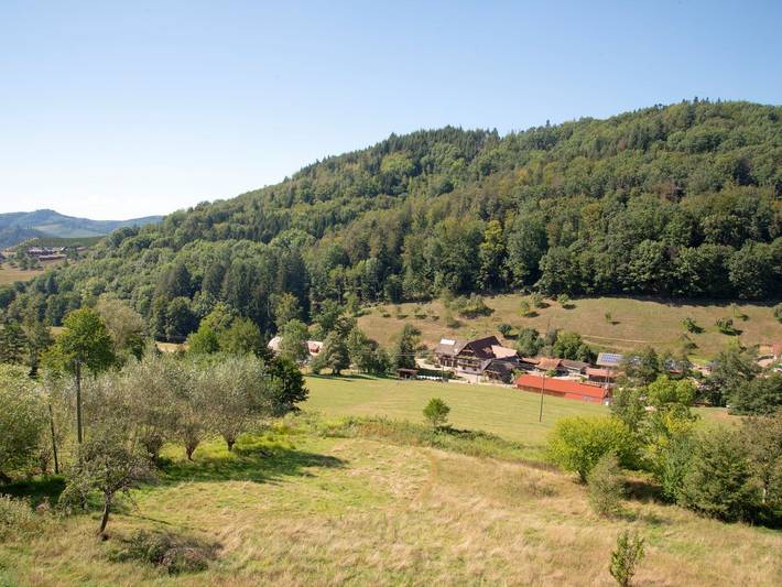 Ferienwohnung für 2 Personen, mit Balkon/Terrasse und Terrasse in Gengenbach - 3