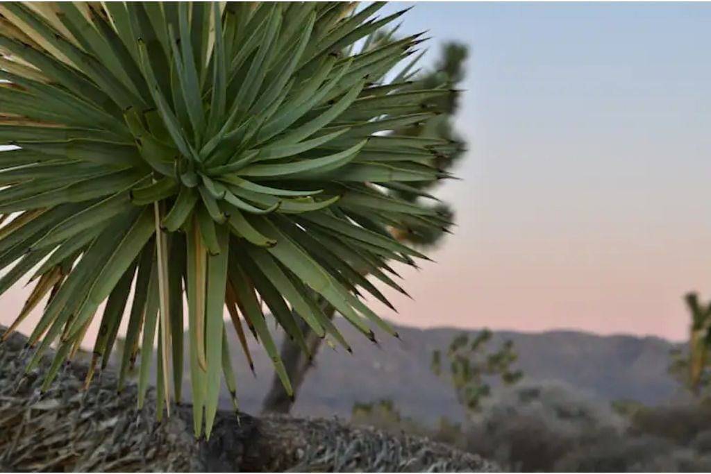 Stunning Views! Rustic cabin facing the base of Grand Canyon West in Mohave County
