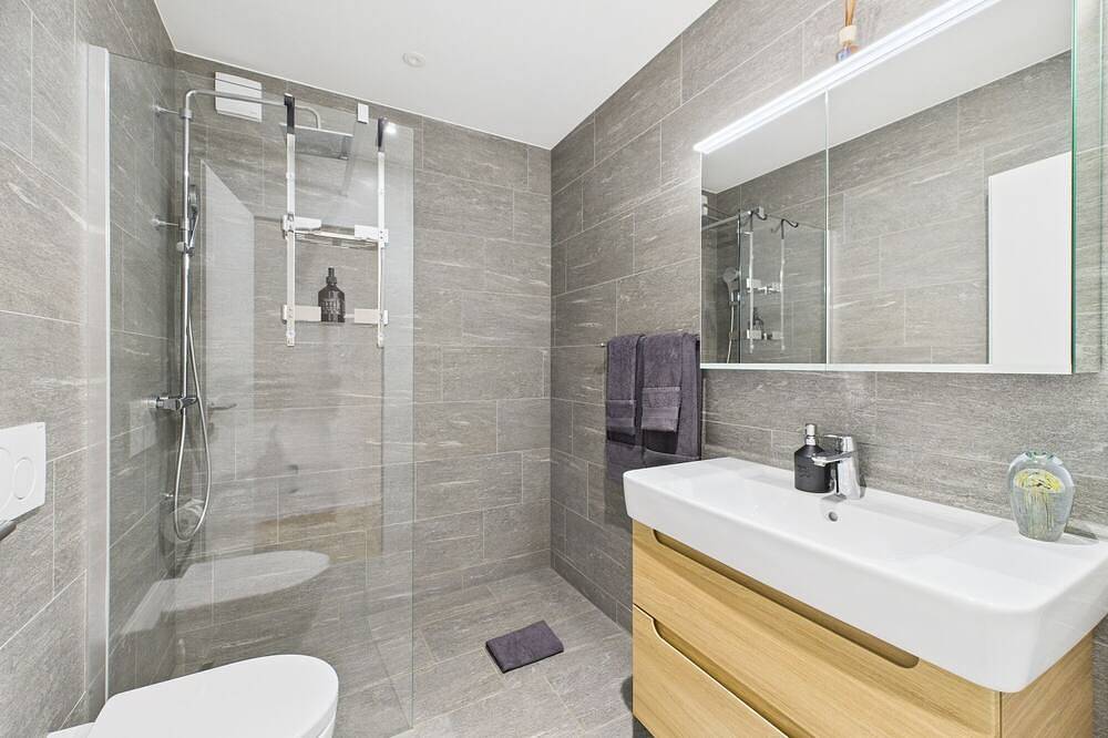 Ganze Wohnung, Schnydershome - Grosszügiges Appartement im Zentrum von Rapperswil in Rapperswil-Jona, Kanton St. Gallen