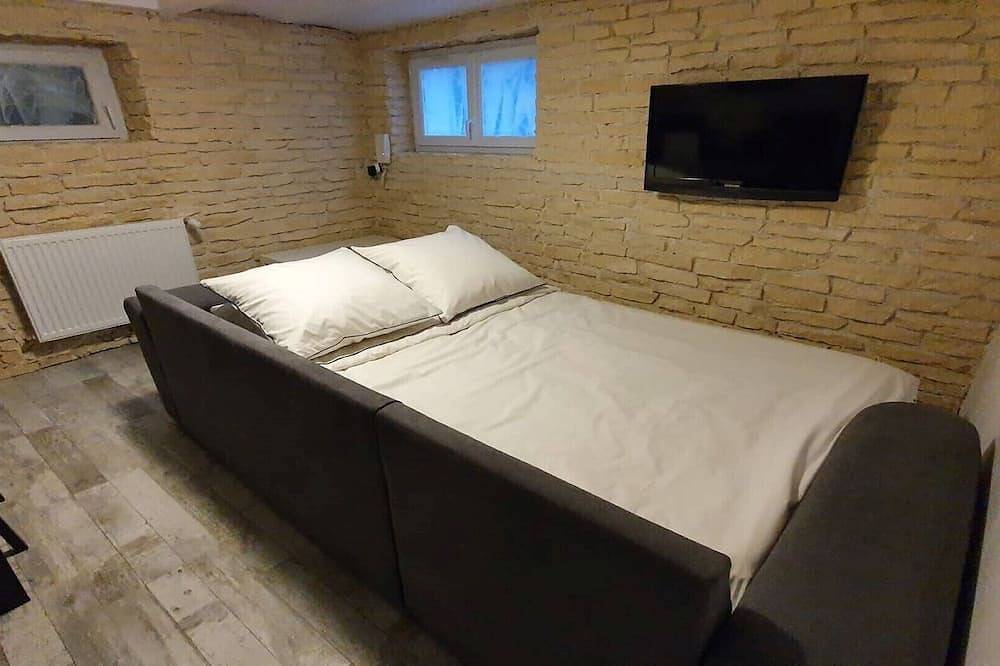Entire apartment, Apartment / house 150m Fleury-les-Aubrais train station -2 km downtown Orleans in Fleury-les-Aubrais, Loire Valley