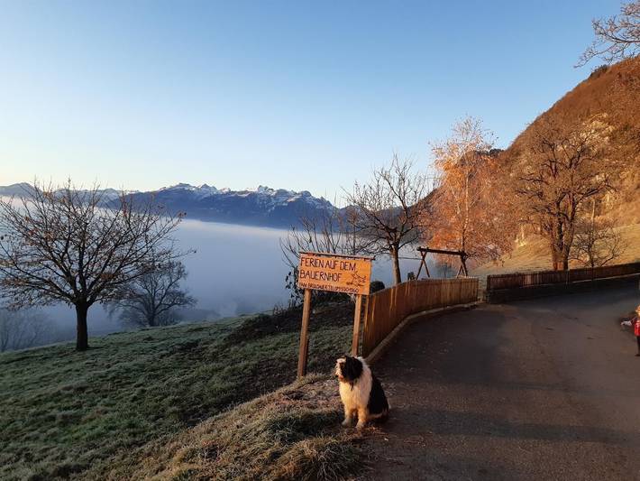 Bauernhof für 7 Personen, mit Garten, mit Haustier in der Schweiz - 3