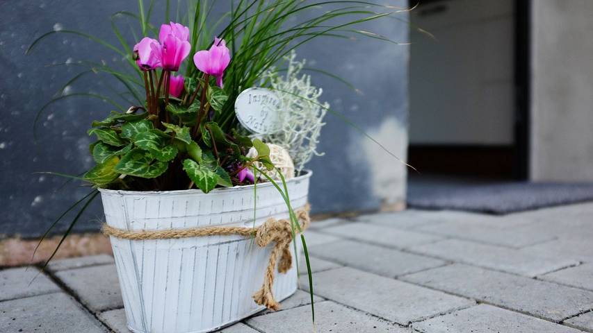 Appartamento vacanze per 4 persone, con terrazza e giardino, adatto a famiglie con bambini - 1
