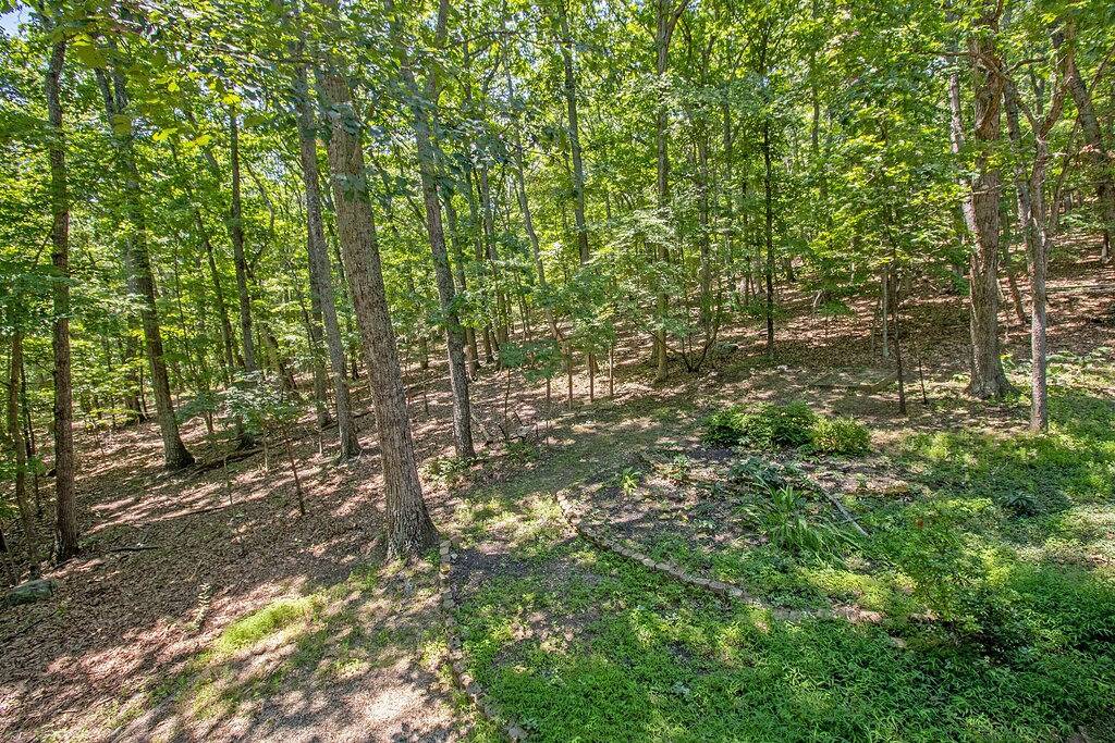 Hike the Snp-Massanutten Resort Free Resort Rec Access & Dog Friendly! in Massanutten, Blue Ridge Mountains