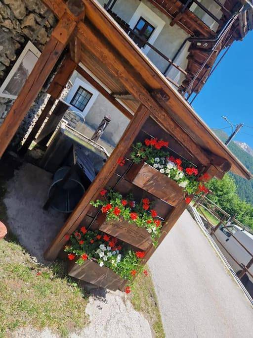 Gîte pour 4 personnes, avec balcon ainsi que jardin et vue à Pragela - 2