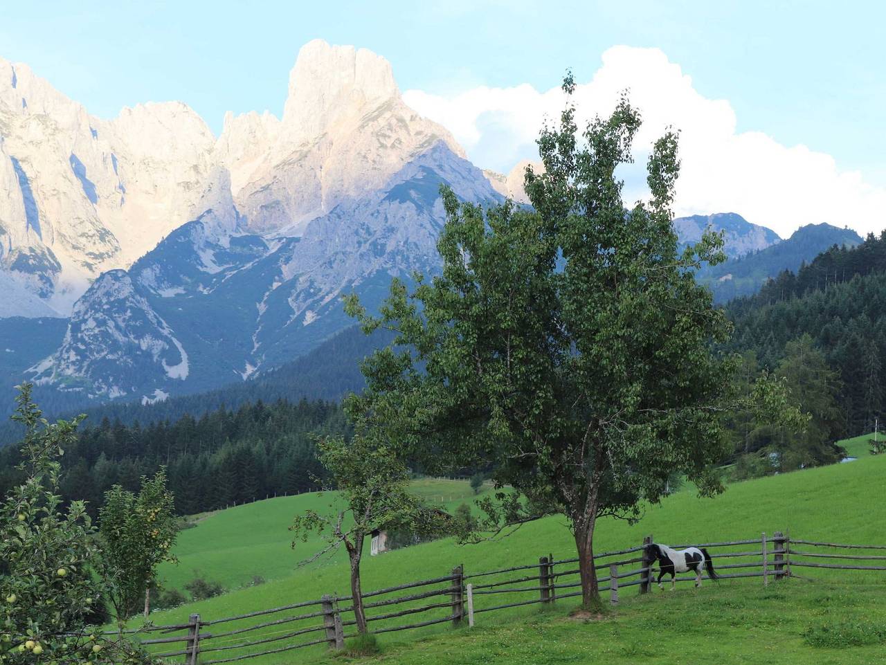 Payrhof - Familienurlaub am Bio-Bergbauernhof - Ferienwohnung Lammertal in Annaberg-Lungötz, Tennengau