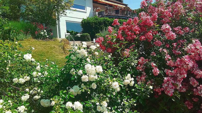 Appartement de vacances pour 2 personnes, avec jardin