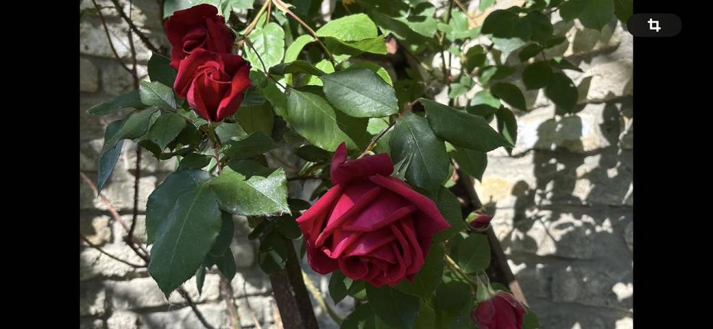 Gîte pour 2 personnes à Hames-Boucres - 4