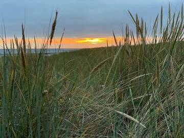 Ferieudlejning til 6 Personer i Blåvand, Vesterhavet, Billede 3