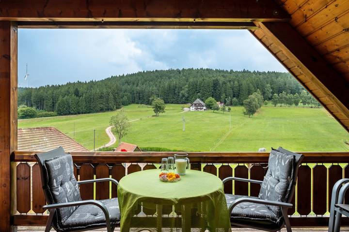 Ferienwohnung für 4 Personen, mit Seeblick und Balkon sowie Garten in Ortenaukreis