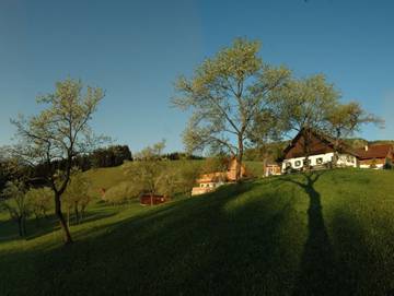 Ferienwohnung für 4 Personen in Unterach am Attersee, Attersee, Bild 2