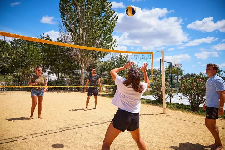 Camping pour 6 personnes, avec terrasse et piscine, animaux acceptés en Camargue - 3