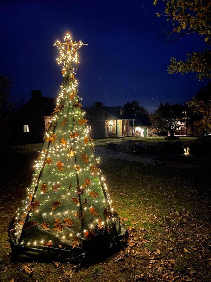 Maison de campagne pour 6 personnes, avec vue et vue sur le lac ainsi que piscine et jardin, animaux acceptés à Seia - 2