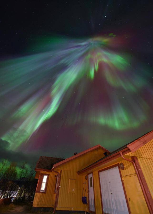 Ferienhaus für 8 Personen, mit Seeblick und Garten sowie Sauna und Ausblick in Lappland (Schweden) - 4