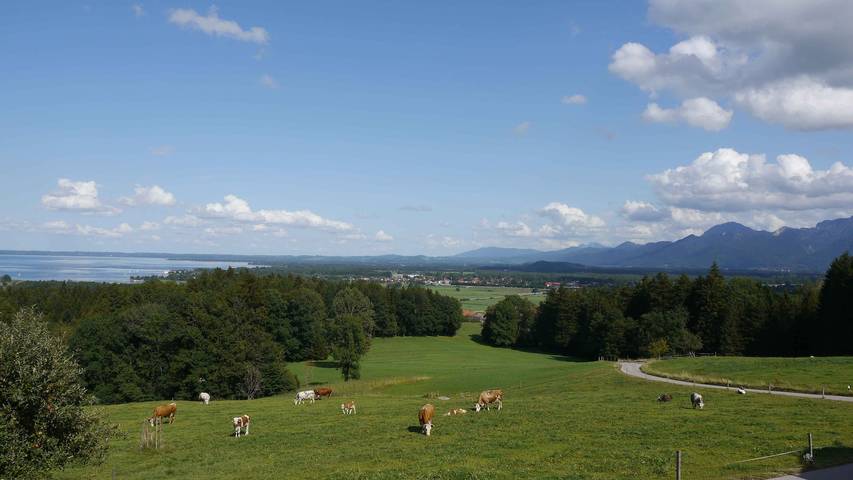 Ganze Ferienwohnung, Ferienwohnung Schmidhof - FeWo Obstgarten für 1-4 Personen (74 qm, Og) in Bernau am Chiemsee, Chiemsee