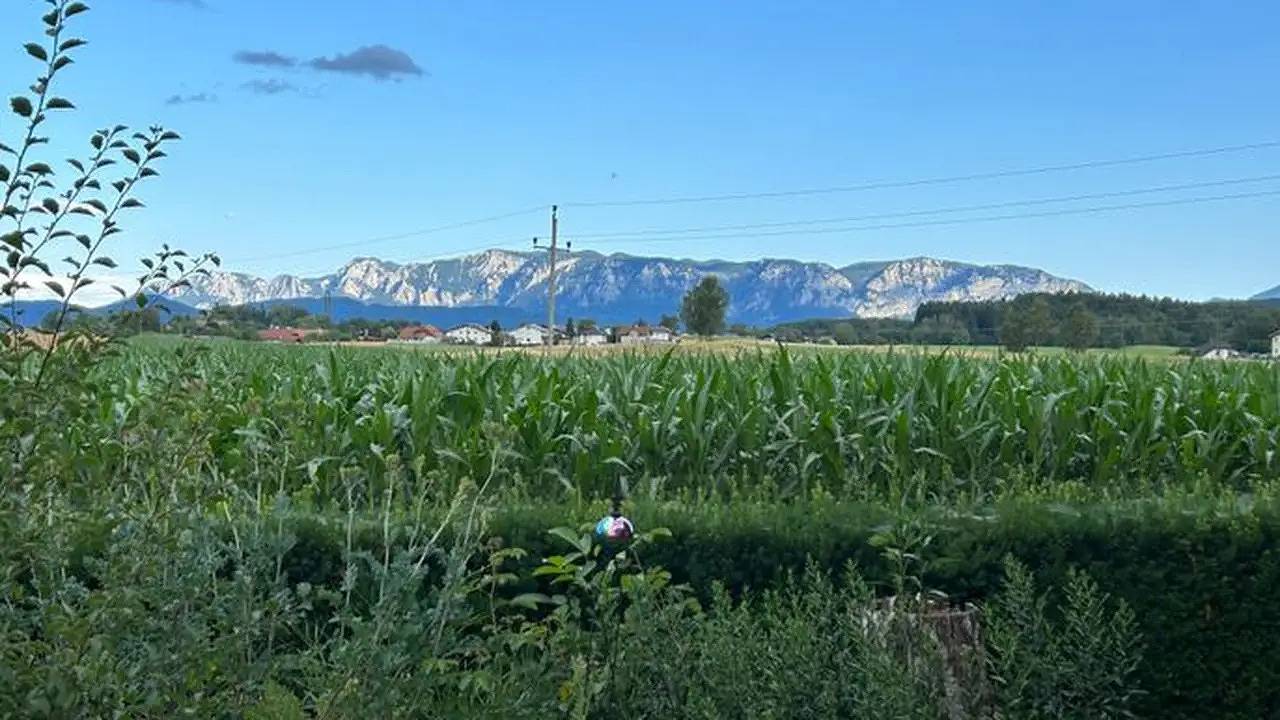 Ganze Ferienwohnung, Ferienwohnung für 8 Personen (160 m²) in Sankt Georgen im Attergau in Salzkammergut-Berge, Sankt Georgen im Attergau