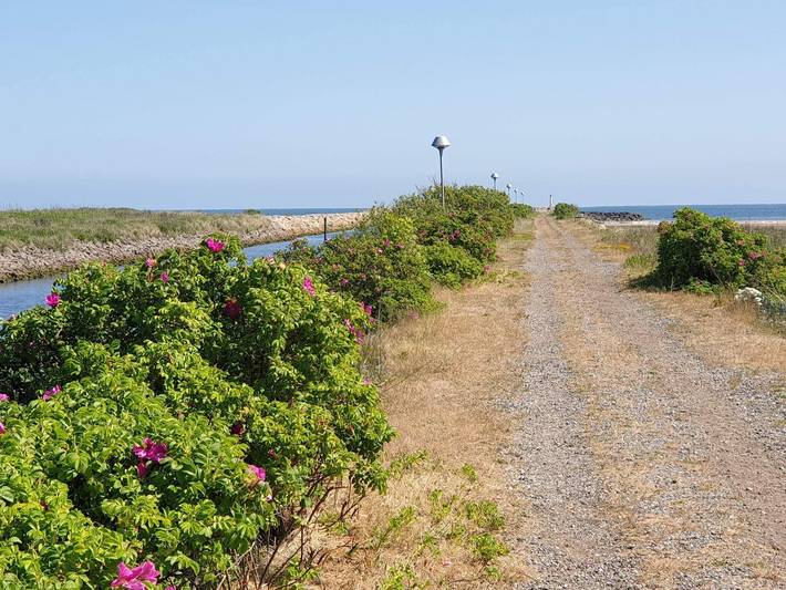 8 person feriebolig i Sæby in Sæby, Nordøstjylland